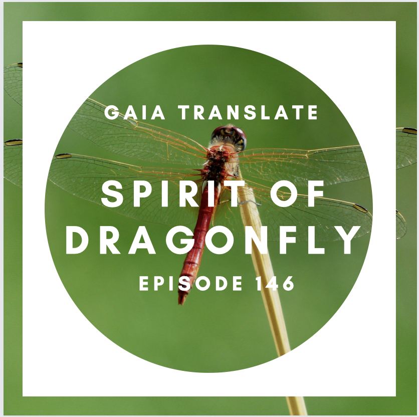 #146 The Great Spirit of the Dragonfly