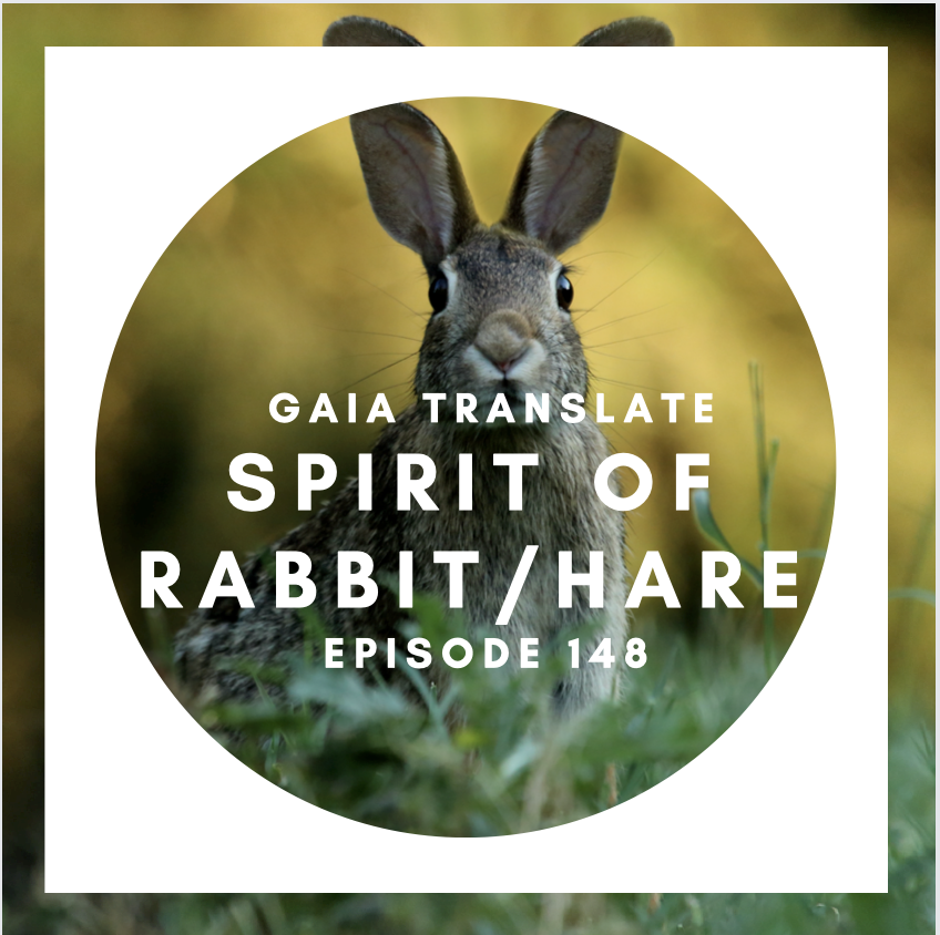 #148 The Great Spirit of the Rabbit/Hare