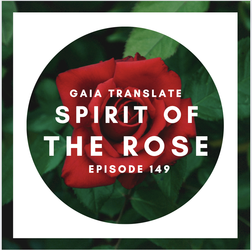#149 The Great Spirit of the Rose