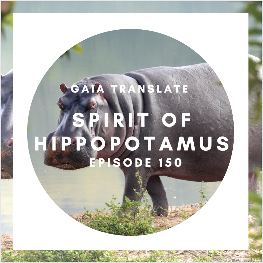 #150 The Great Spirit of the  Hippopotamus