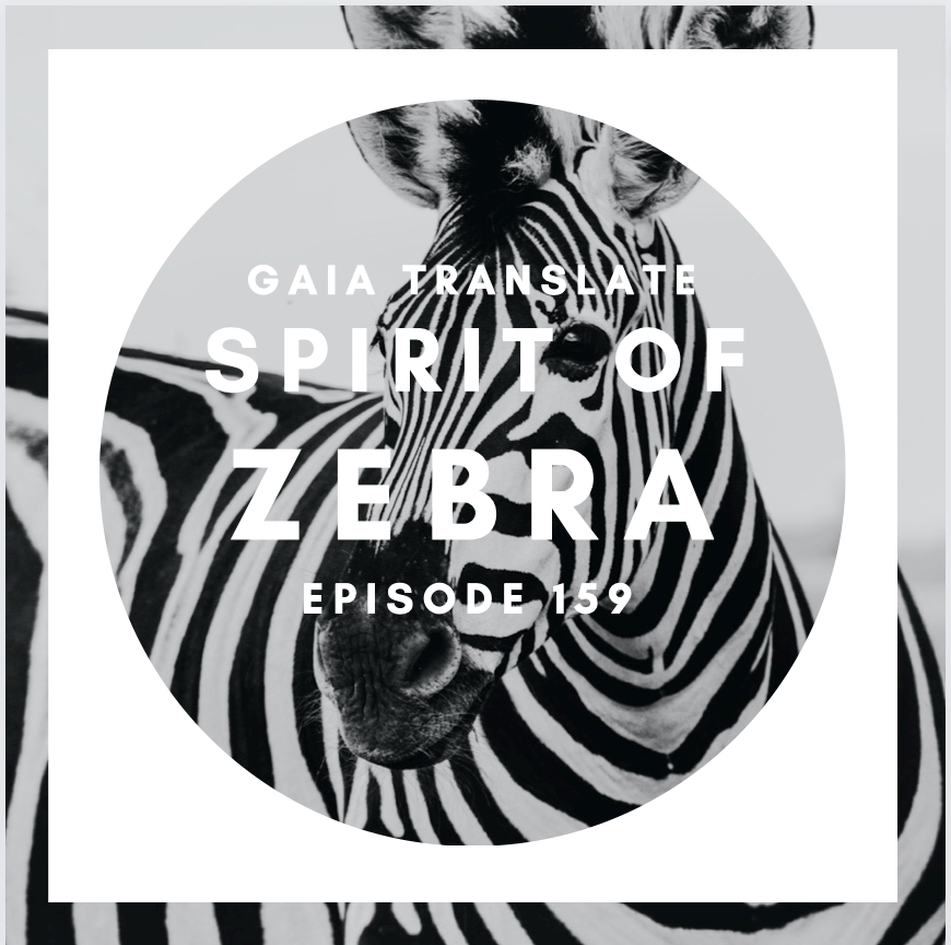 #159 The Great Spirit of the Zebra