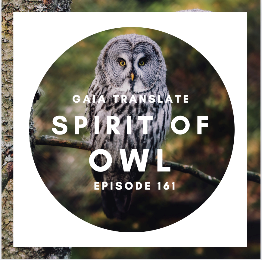 #161 Blessing of the Great Spirit of Owl