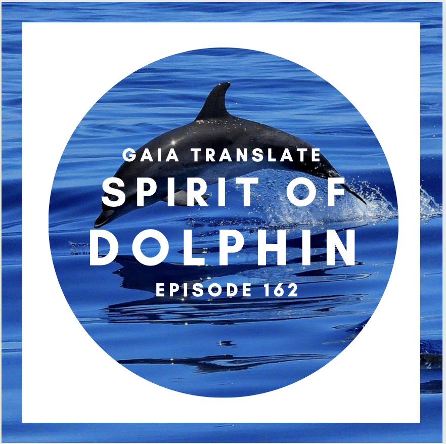 #162  Blessings from the Great Spirit of Dolphin