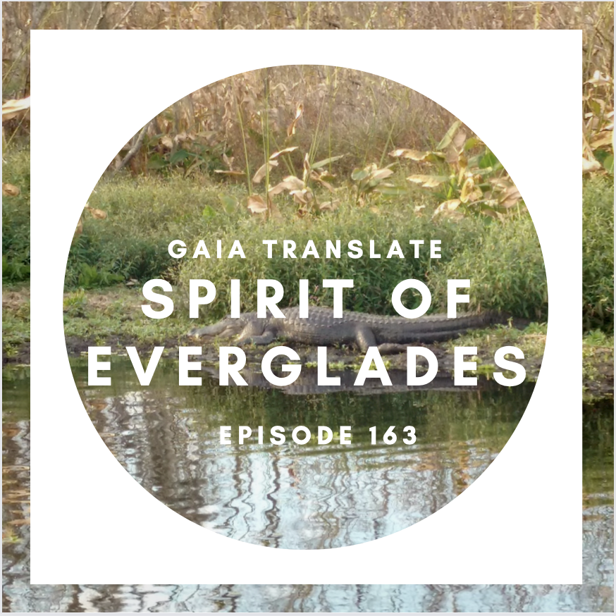 #163 Blessings from the Great Spirit of the Everglades 