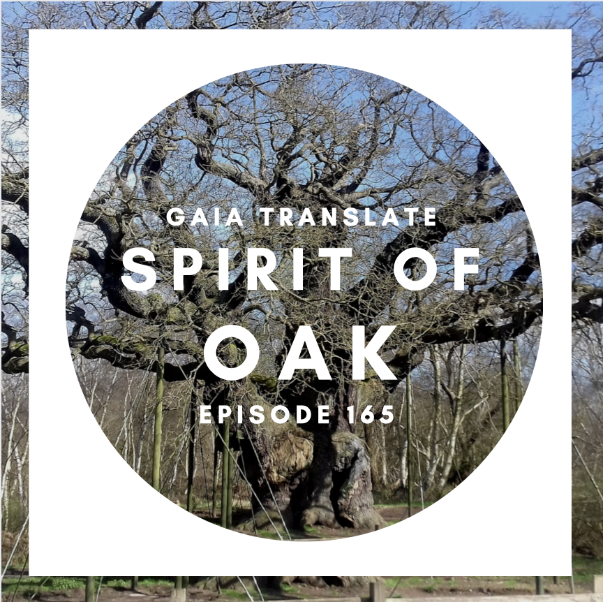 #165 Blessing of the Great Spirit of Oak