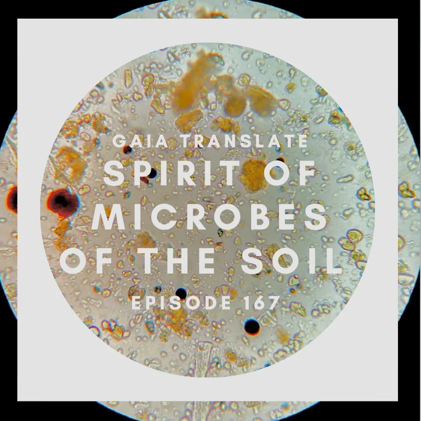 #167 The Great Spirit of the Microbes of the Soil
