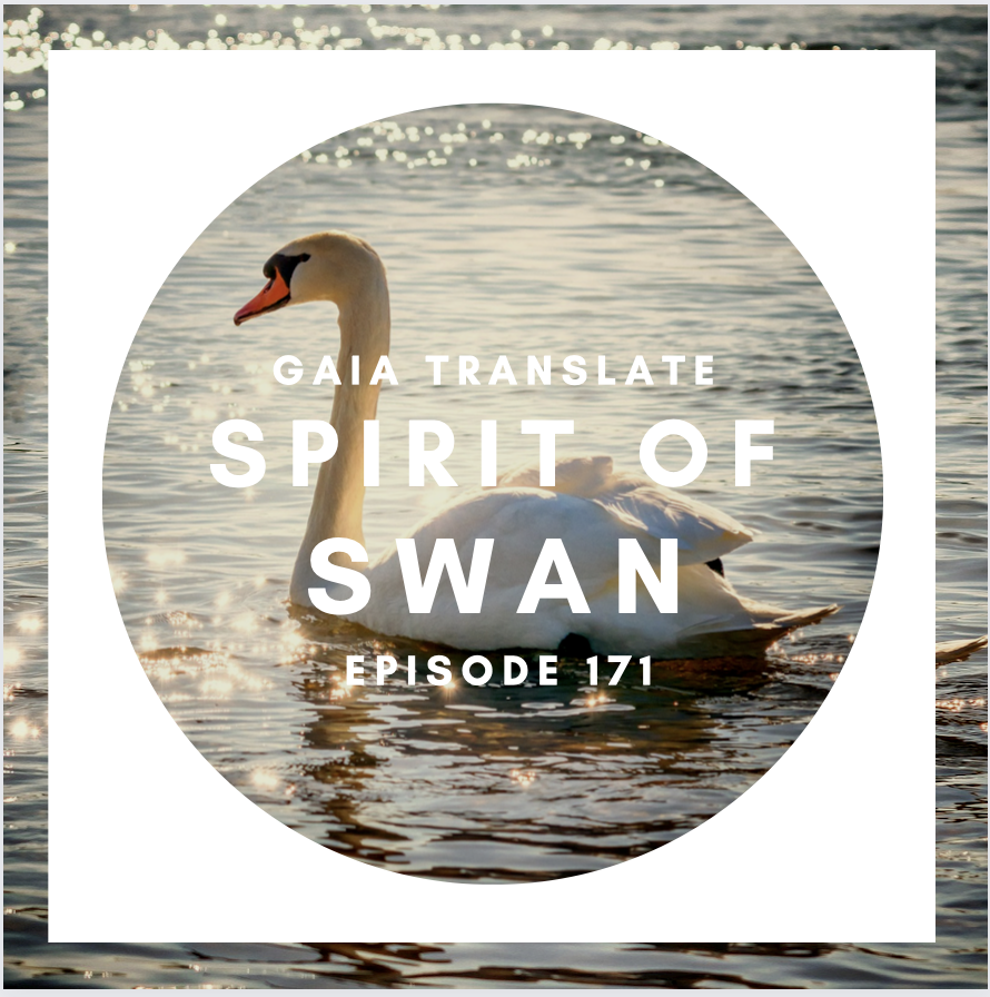 #171 The Great Spirit of the Swan