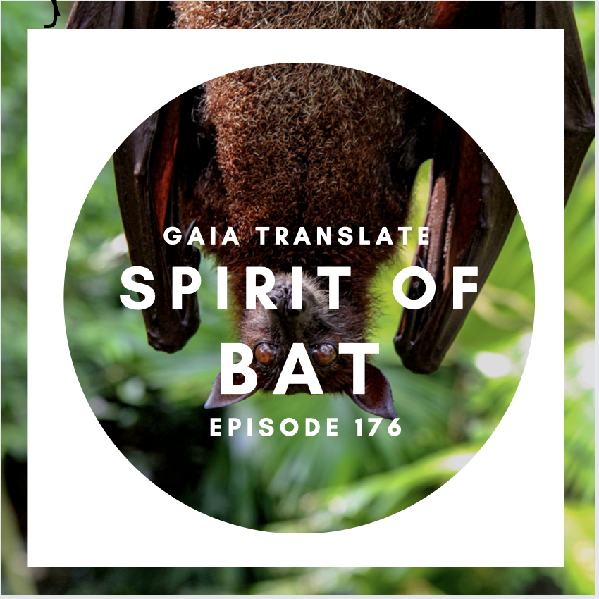 #176 The Great Spirit of the Bat (Blessing of Collaboration)
