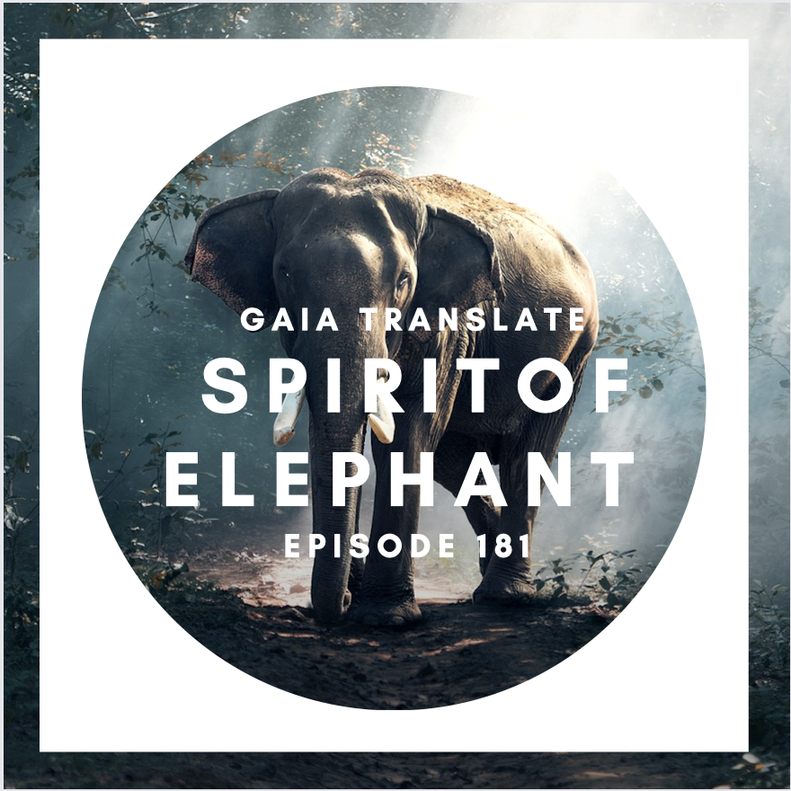 #181 The Great Spirit of the Elephant 