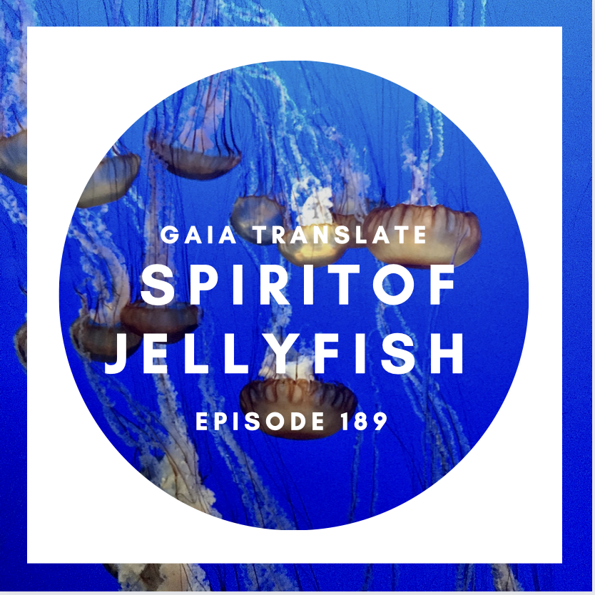 #189 The Great Spirit of the Jellyfish 