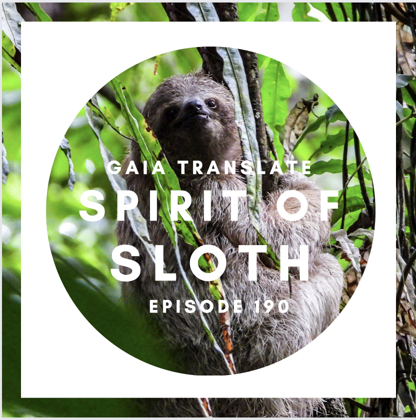 #190 The Great Spirit of the Sloth 