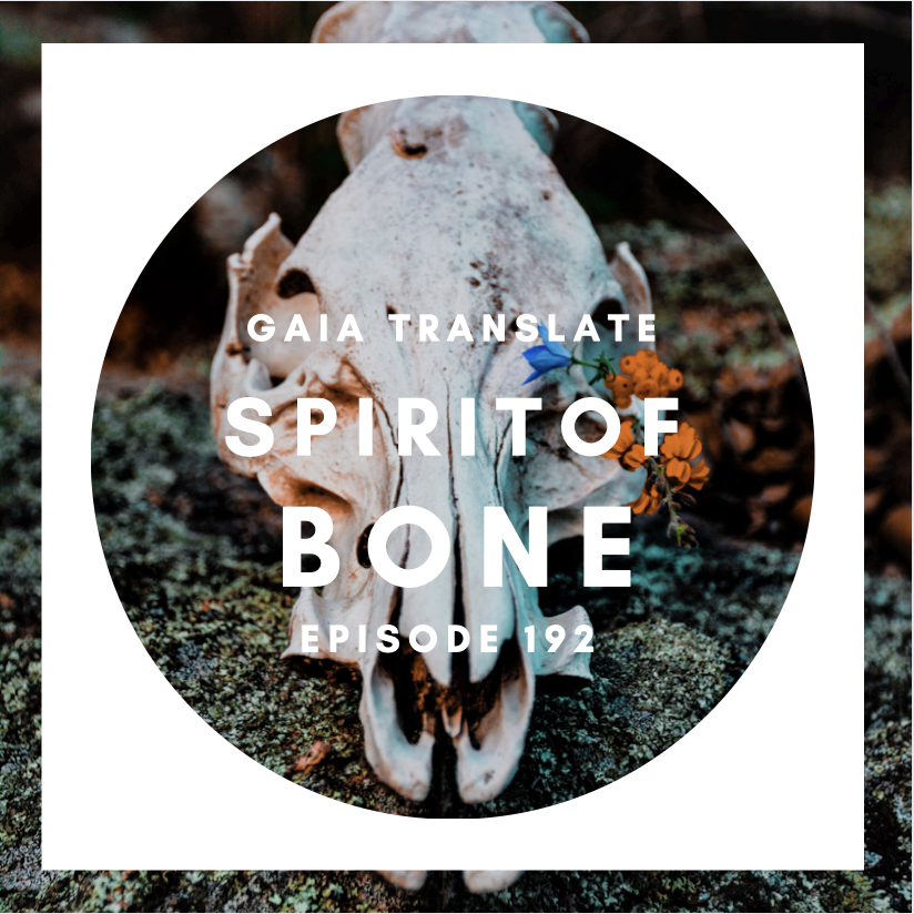 #192  Great Spirit of the   Bone