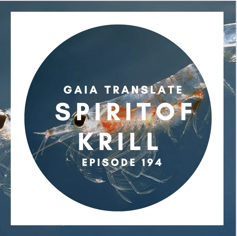#194 The Great Spirit of the Krill