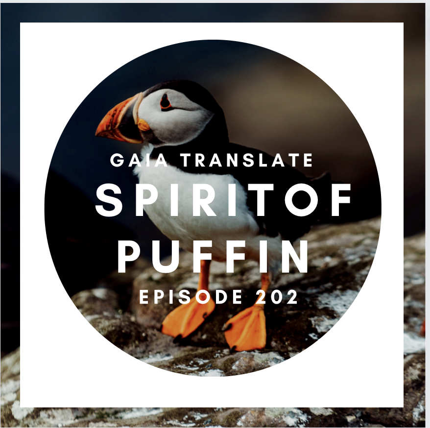 #202  The Great Spirit of the Puffin 