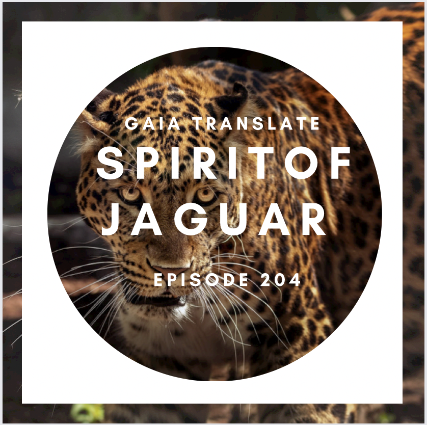 #204 The Great Spirit of the Jaguar