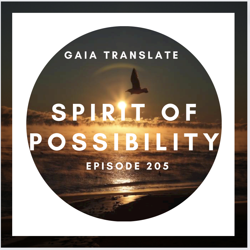 #205 The Great Spirit of Possibility  