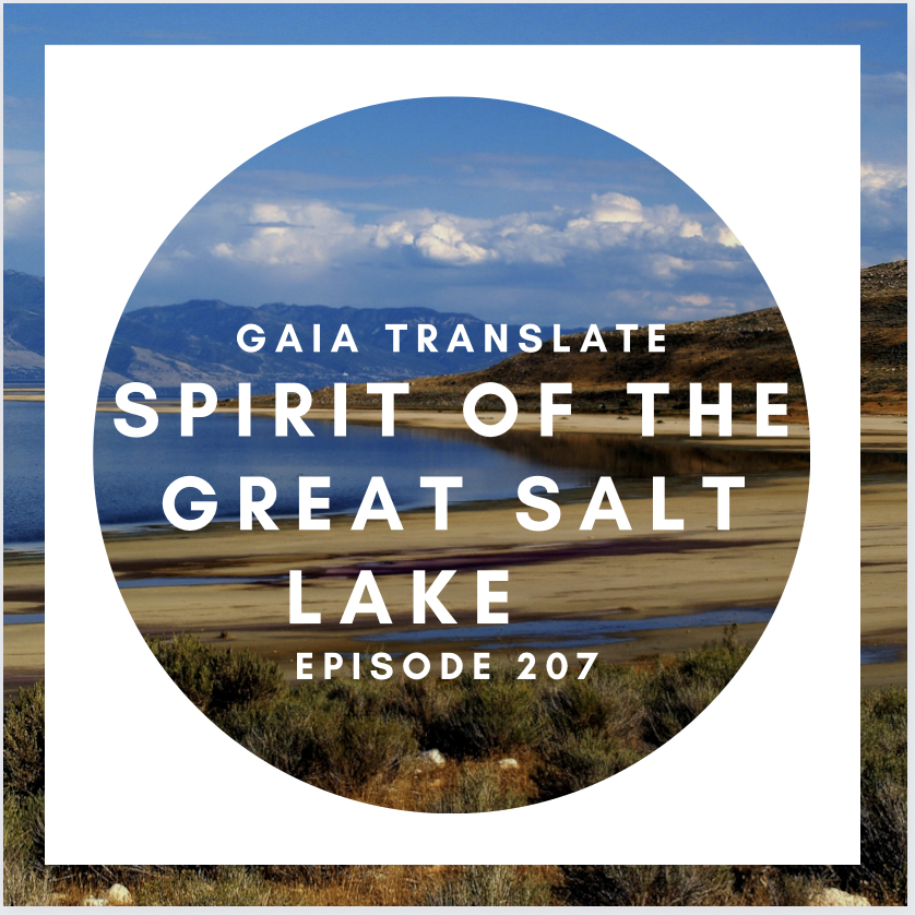 #207  Spirit of the Great Salt Lake