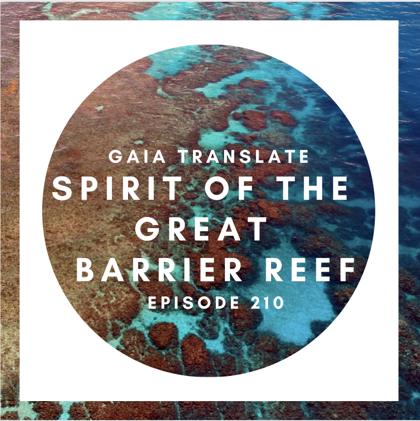 #210 Spirit of the Great Barrier Reef