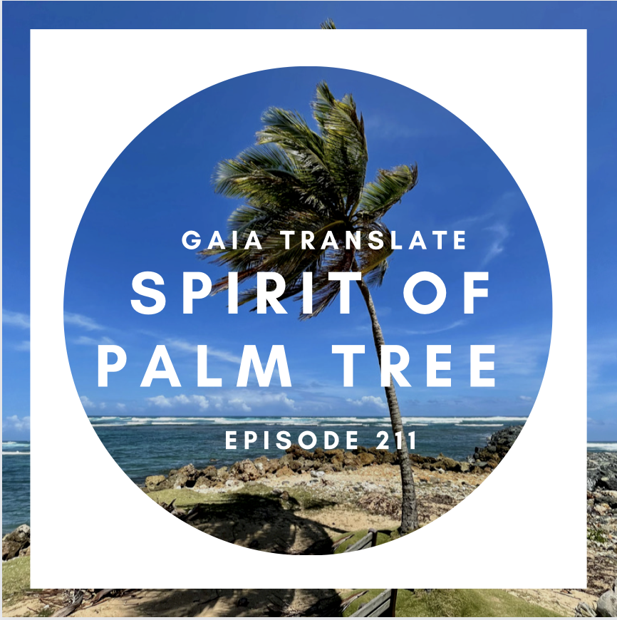 #211 The Great Spirit of the Palm Tree
