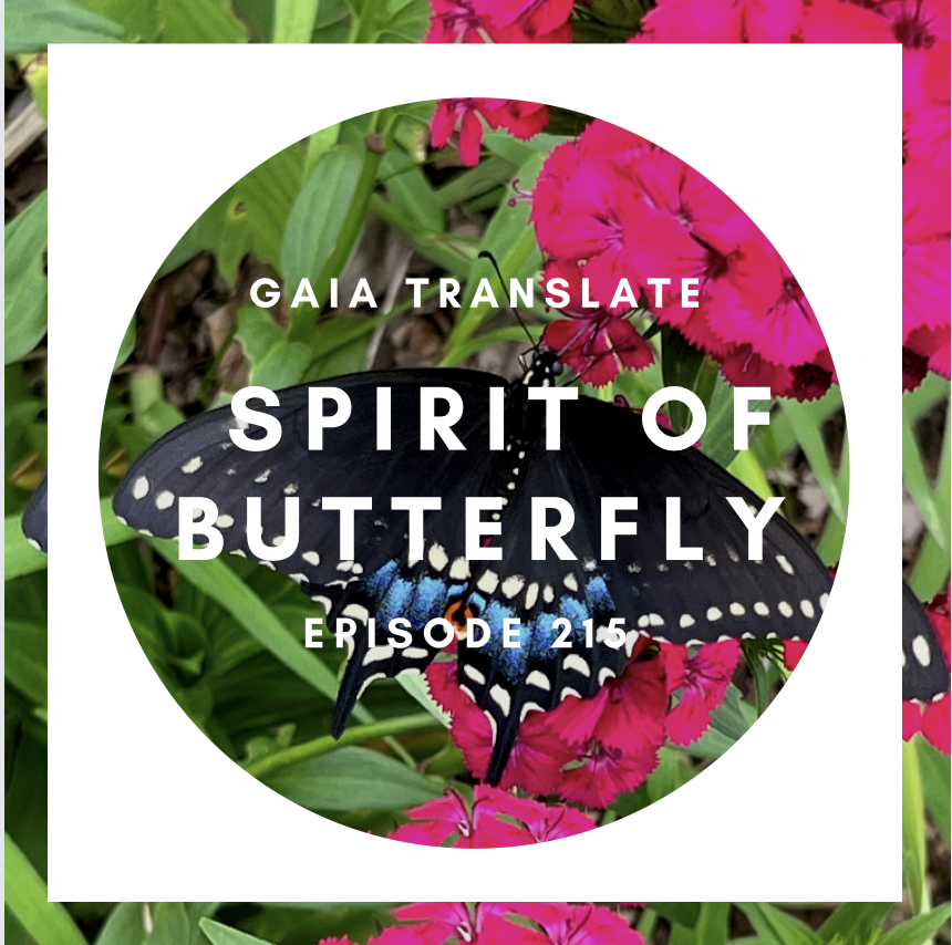#215 The Great Spirit of  Butterfly