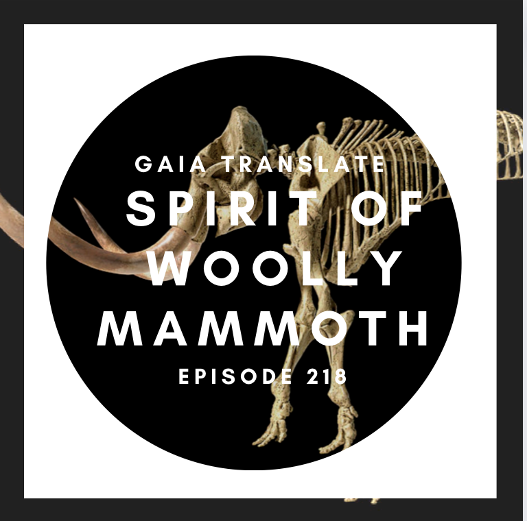 #218 Spirit of Woolly Mammoth