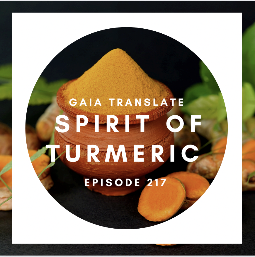 #217 The Great Spirit of Tumeric