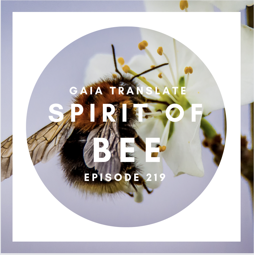 #219 The Great Spirit of the Bee