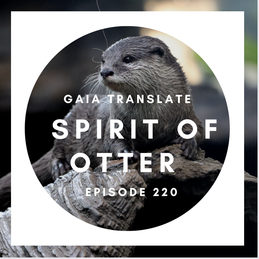 #220 The Great Spirit of the Otter