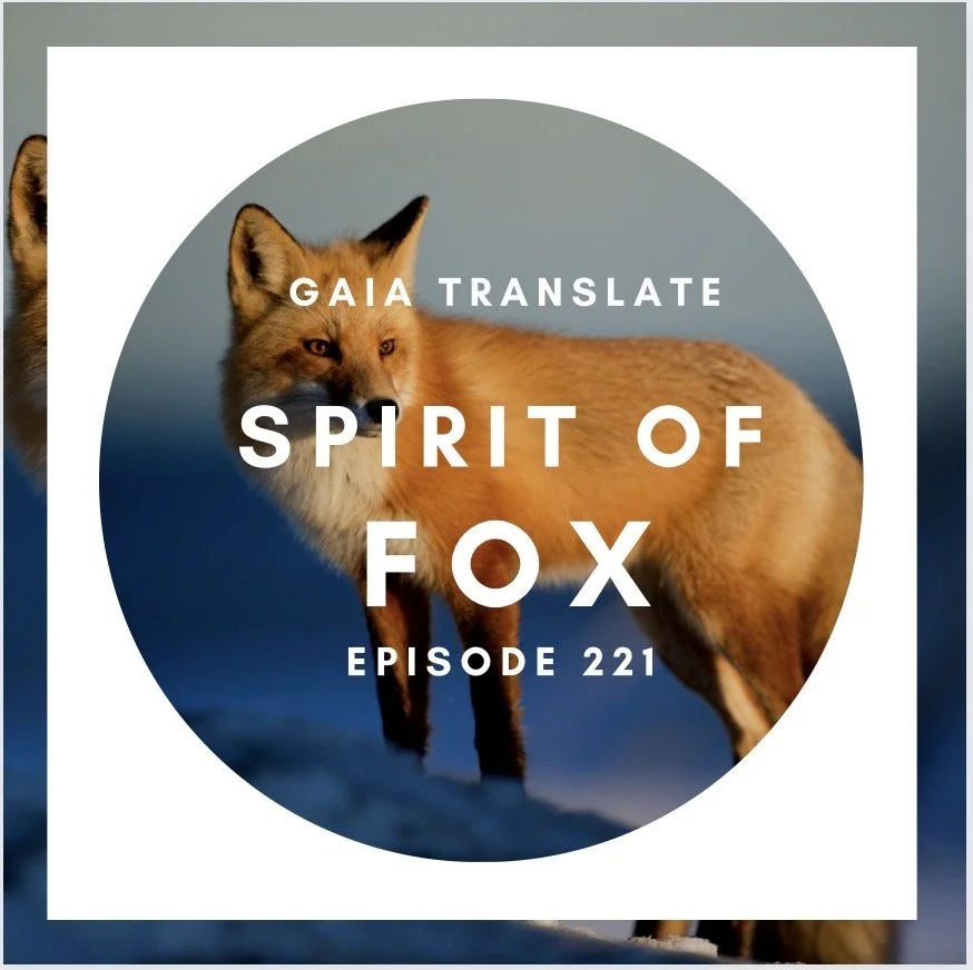#221 The Great Spirit of Fox