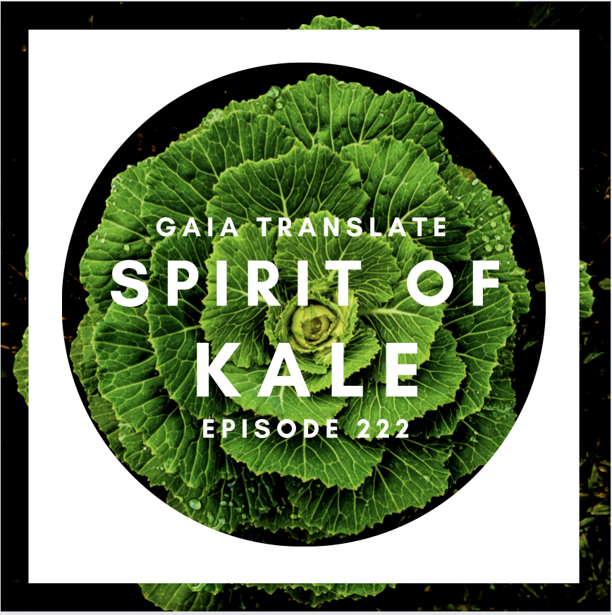 #222 The Great Spirit of Kale