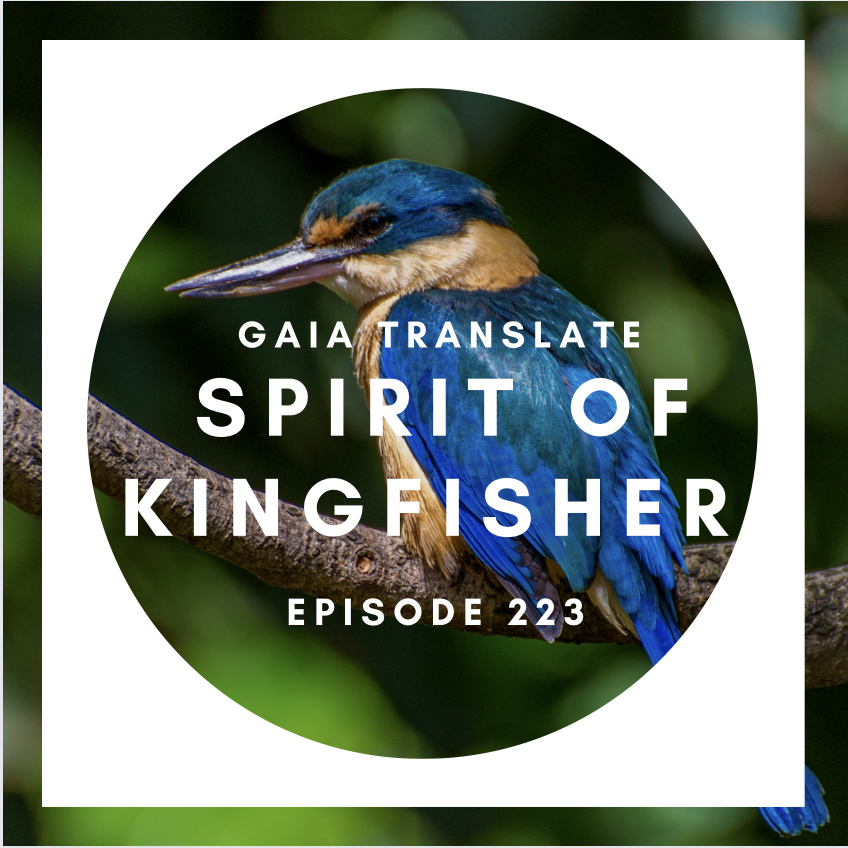 #223   Great Spirit of the Kingfisher