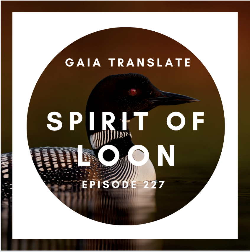 #227 The Great Spirit of Loon
