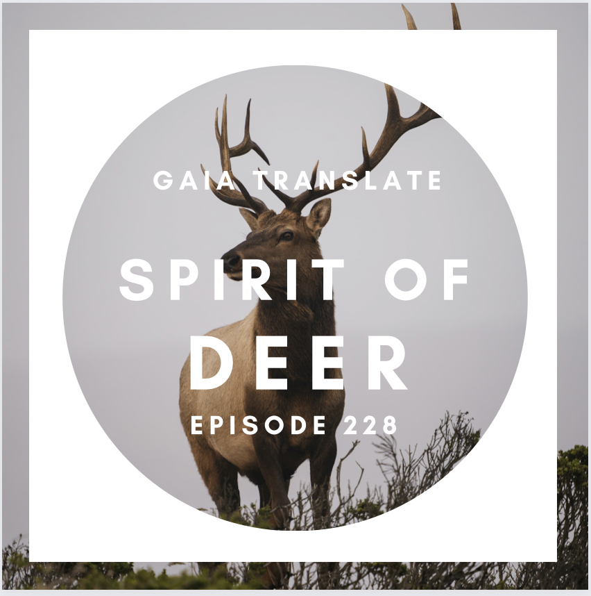 #228 The Great Spirit of Deer