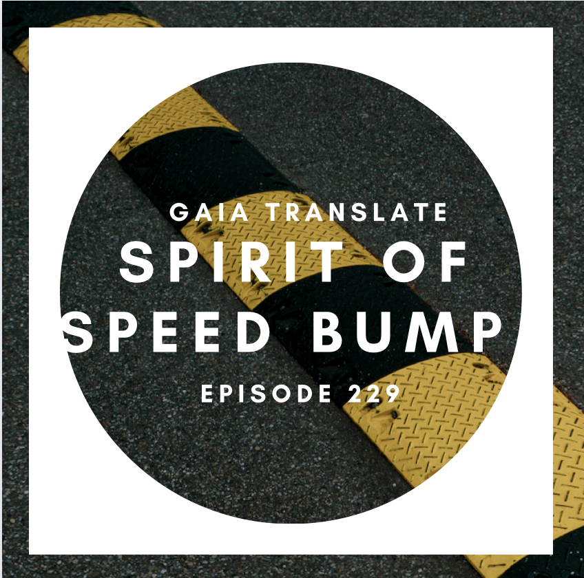 #229 The Great Spirit of the Speed Bump