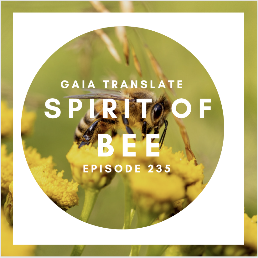 #235 The Great Spirit of Clan of Bee