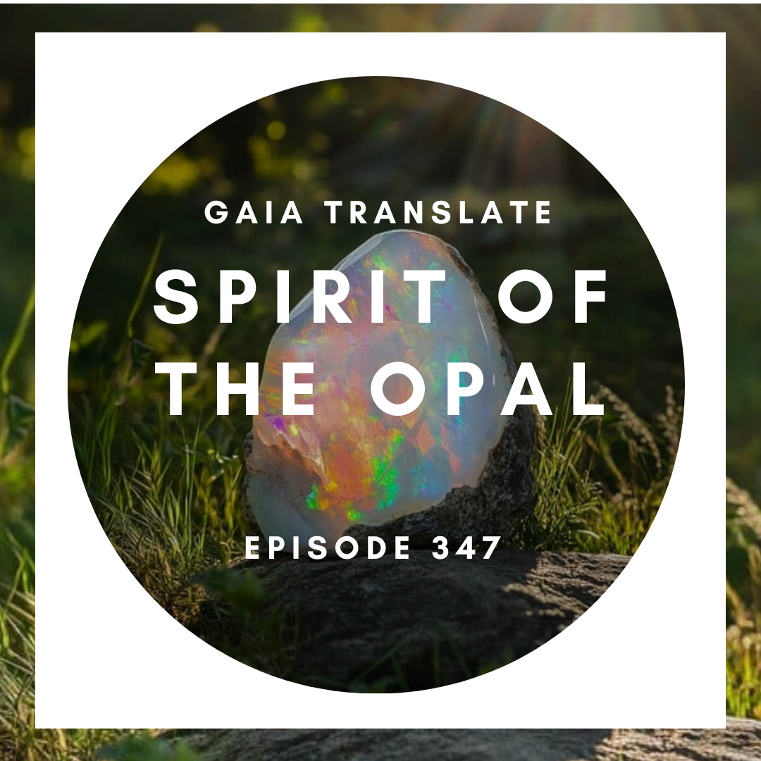 #347 The Great Spirit of The Opal