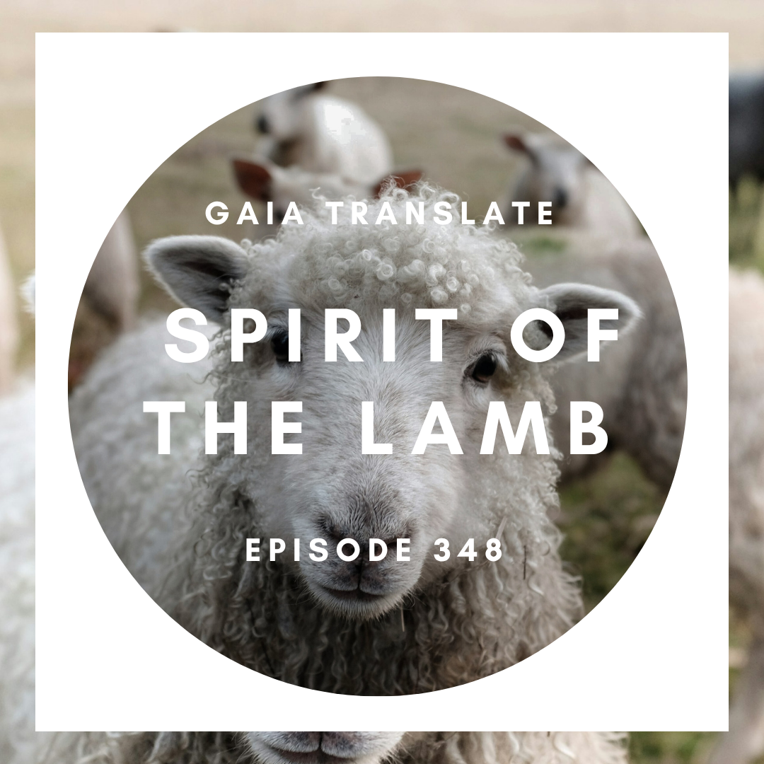 #348 The Great Spirit of The Sheep