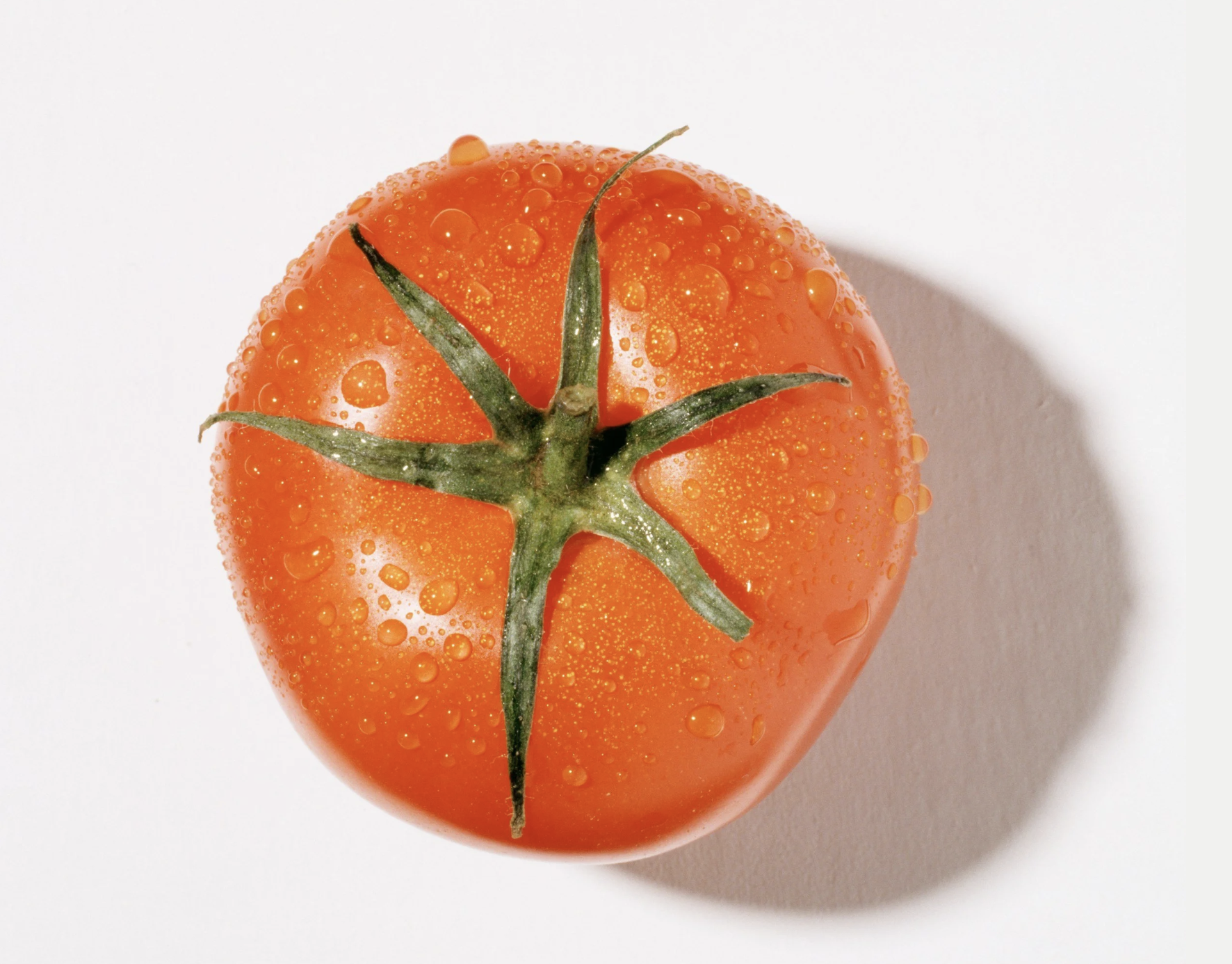 #527: Great Spirit of the Tomato