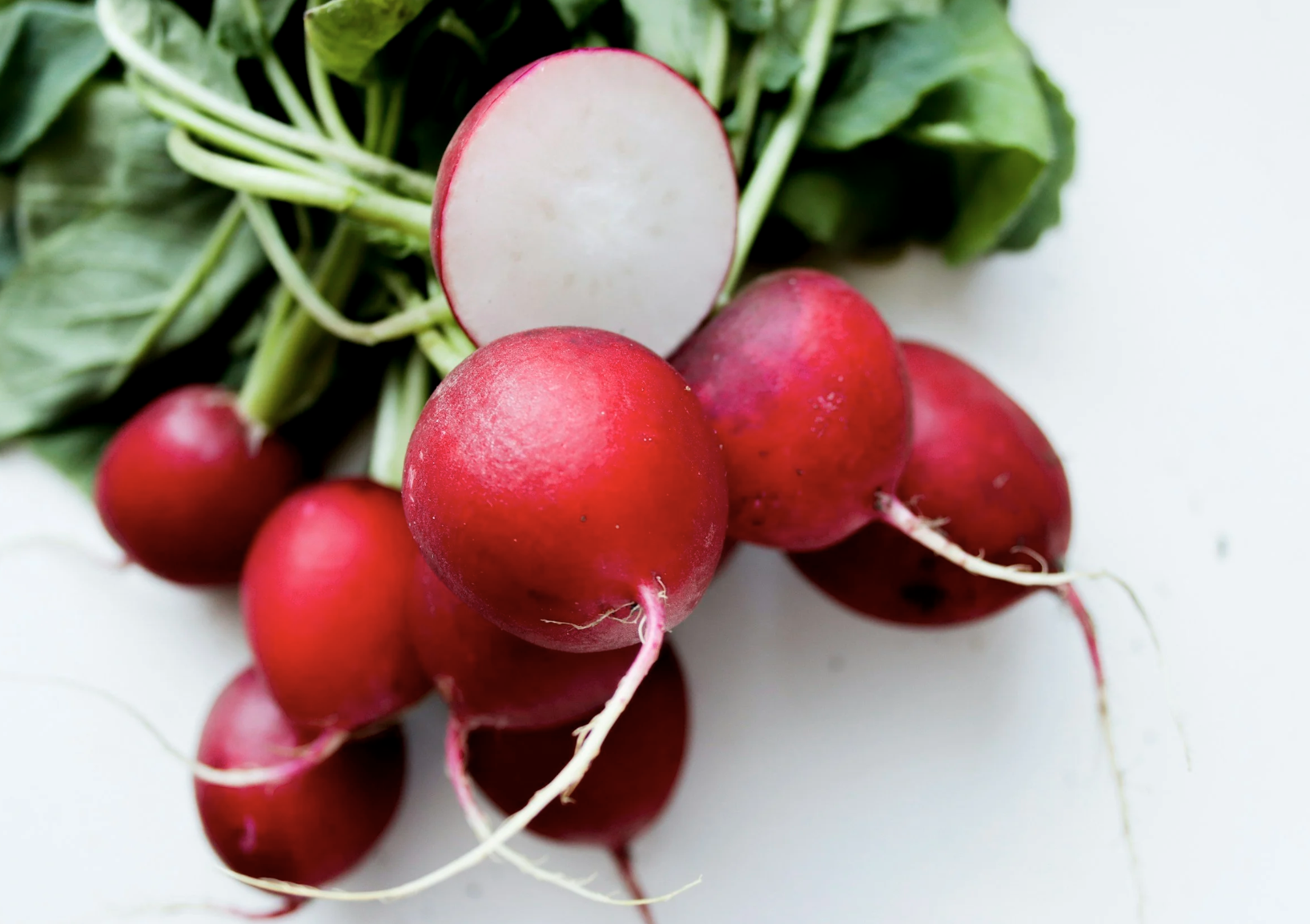 #522: The Great Spirit of the Radish