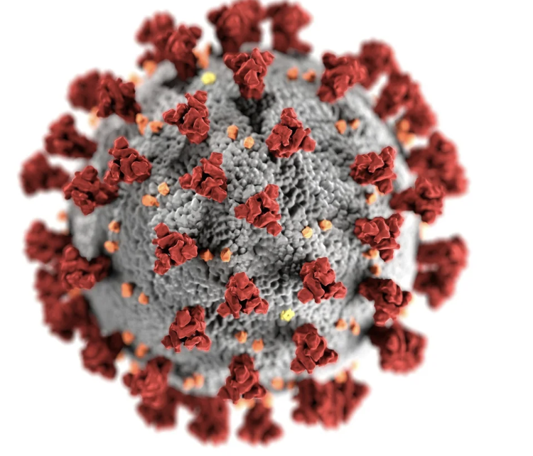 #486 The Great Spirit of the Virus