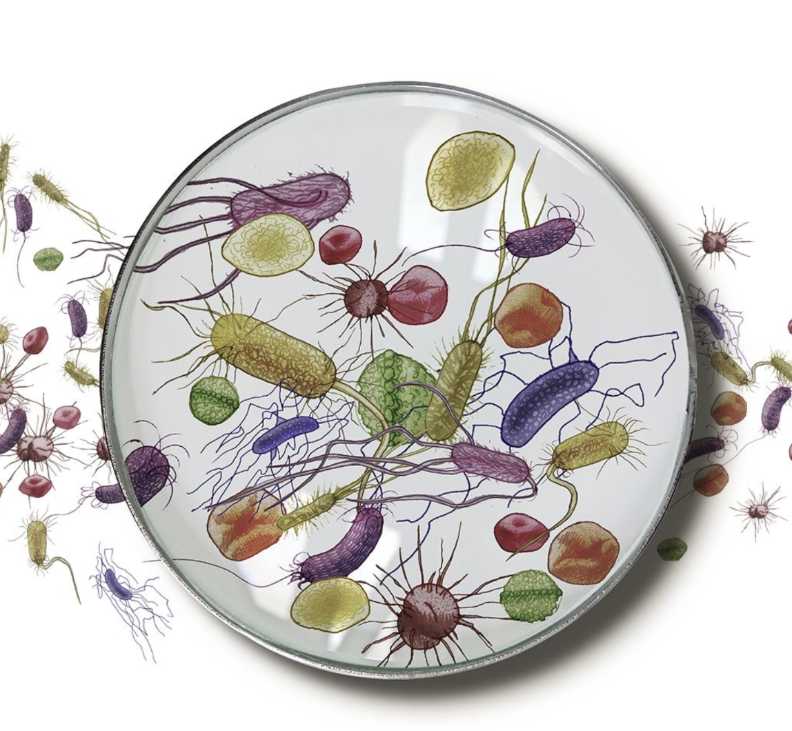 #484 The Great Spirit of Antibiotic