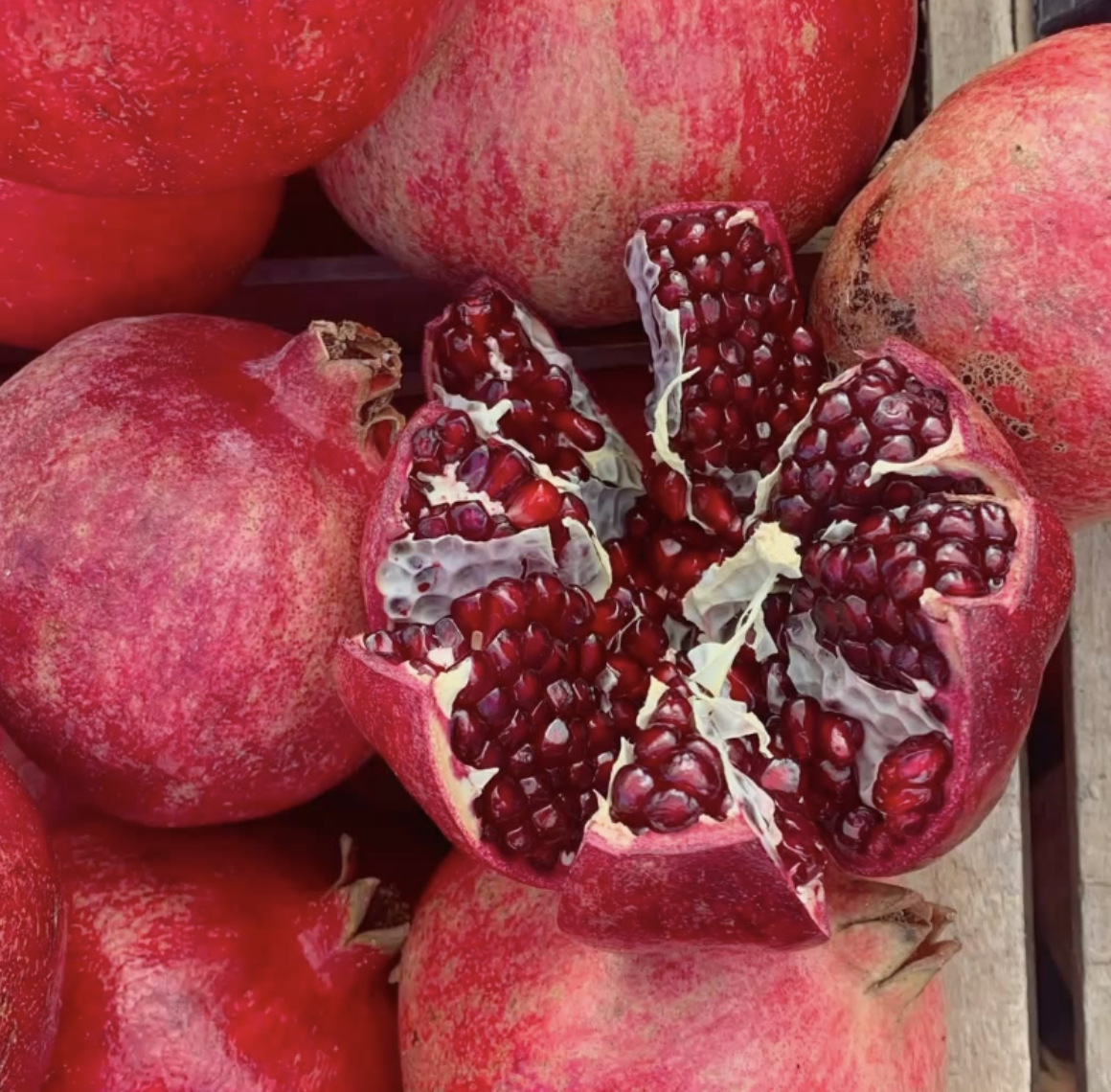 #475 The Great Spirit of the Pomegranate