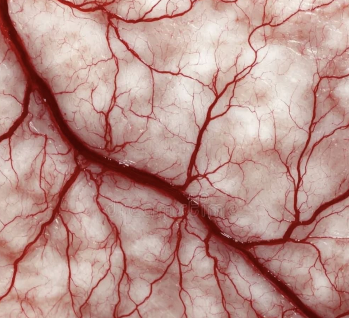#470 The Great Spirit of the Blood Vessel