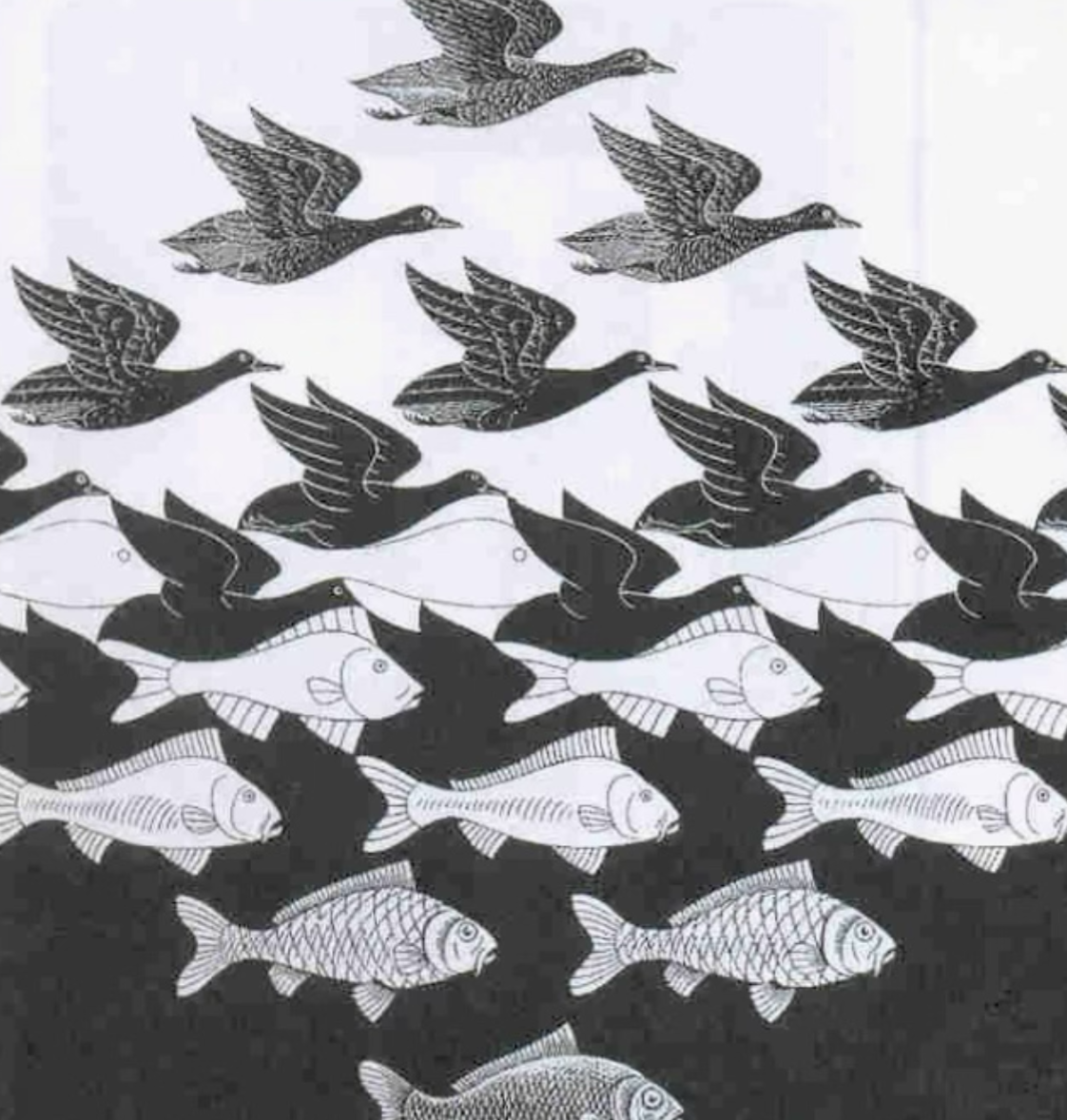 #465 The Great Spirit of Optical Illusions