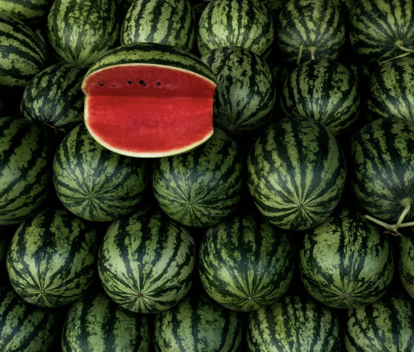 #435 The Great Spirit of Watermelon  