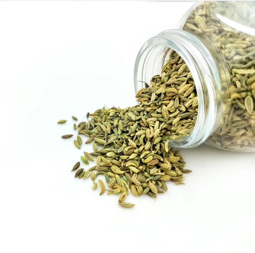 #433 The Great Spirit of Fennel  