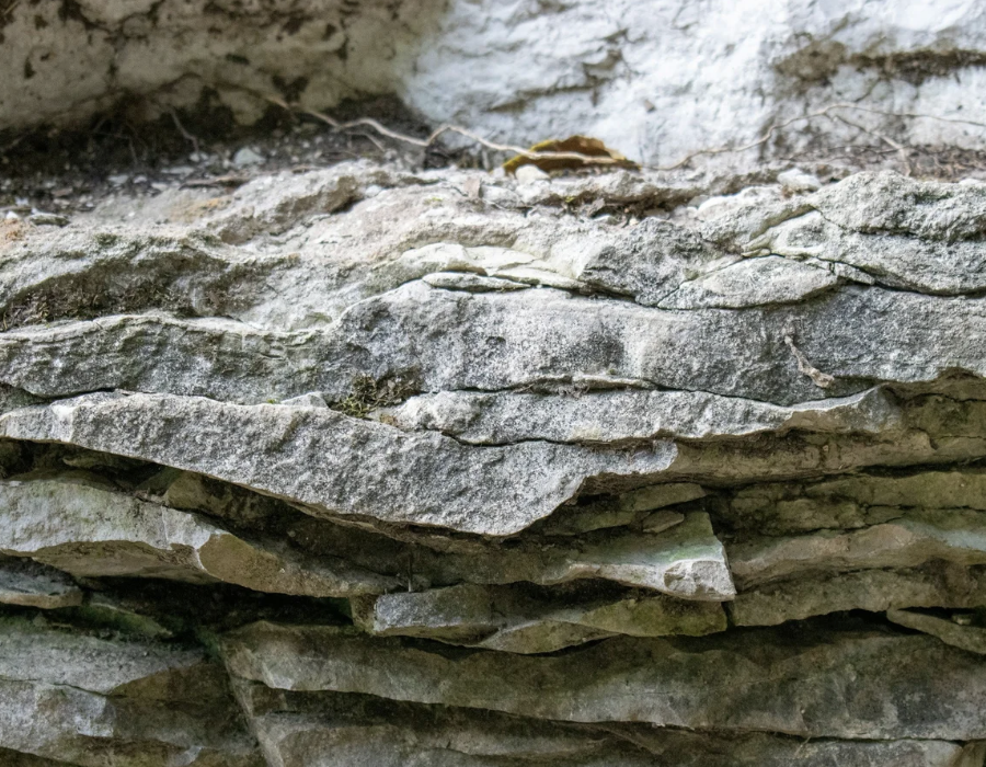 #427 The Great Spirit of Limestone 