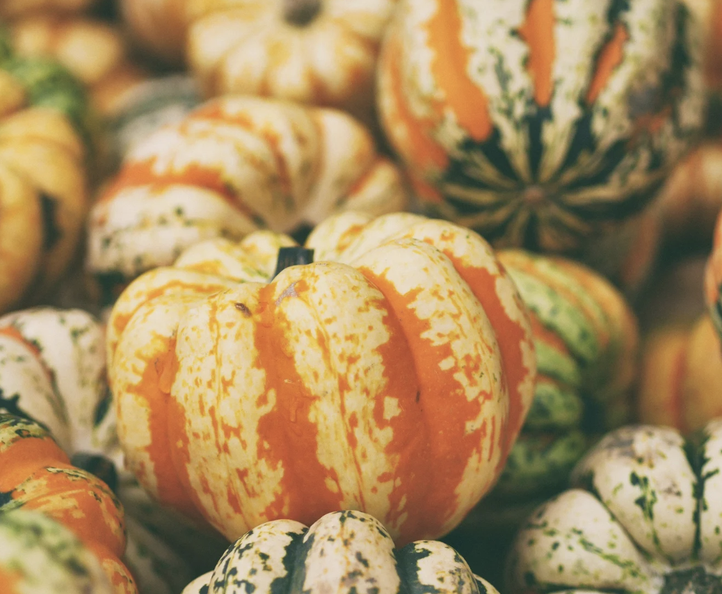 #419 The Great Spirit of the Squash 
