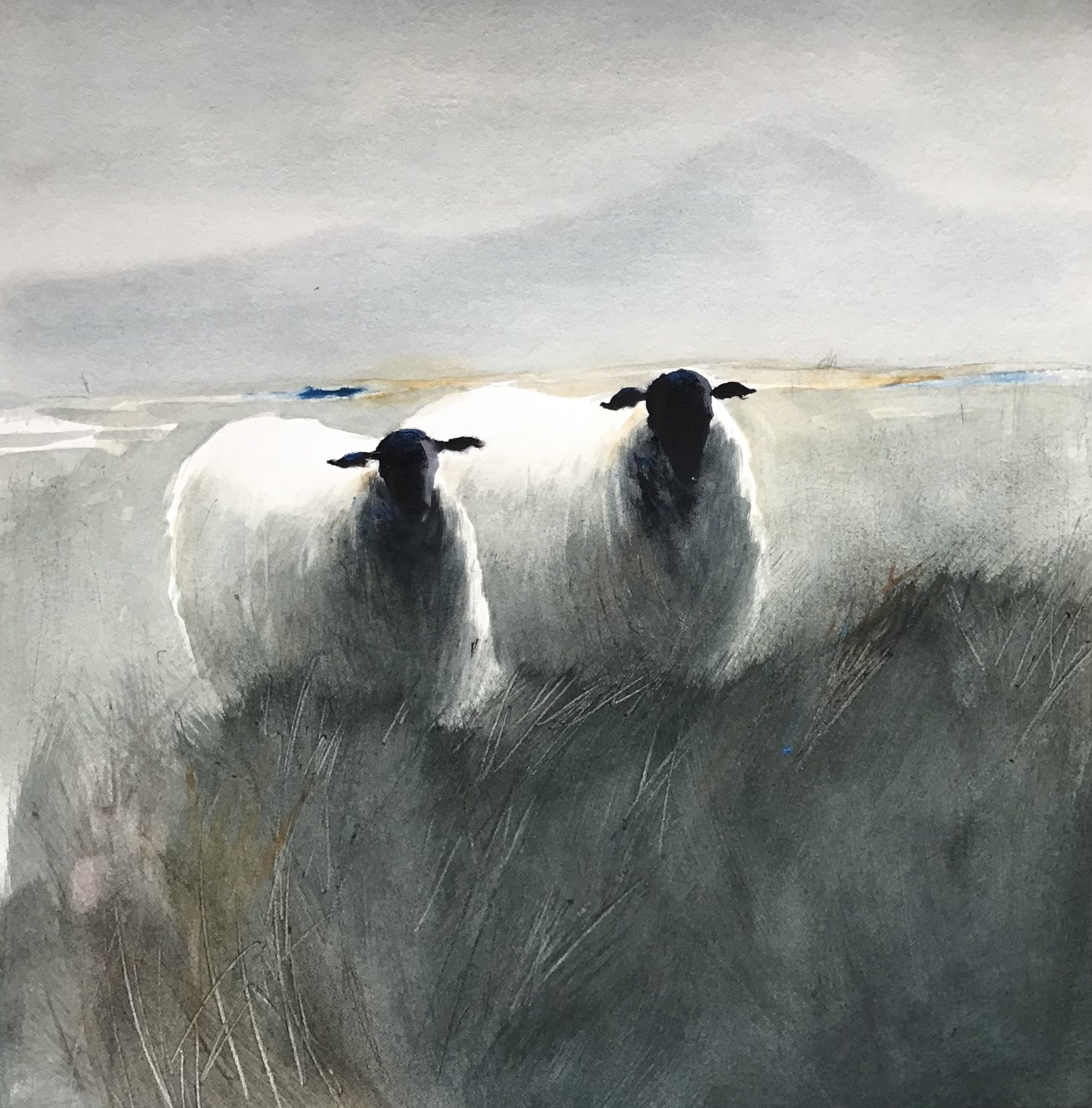 Kerry sheep framed size 60 cm X 60
€365 sold