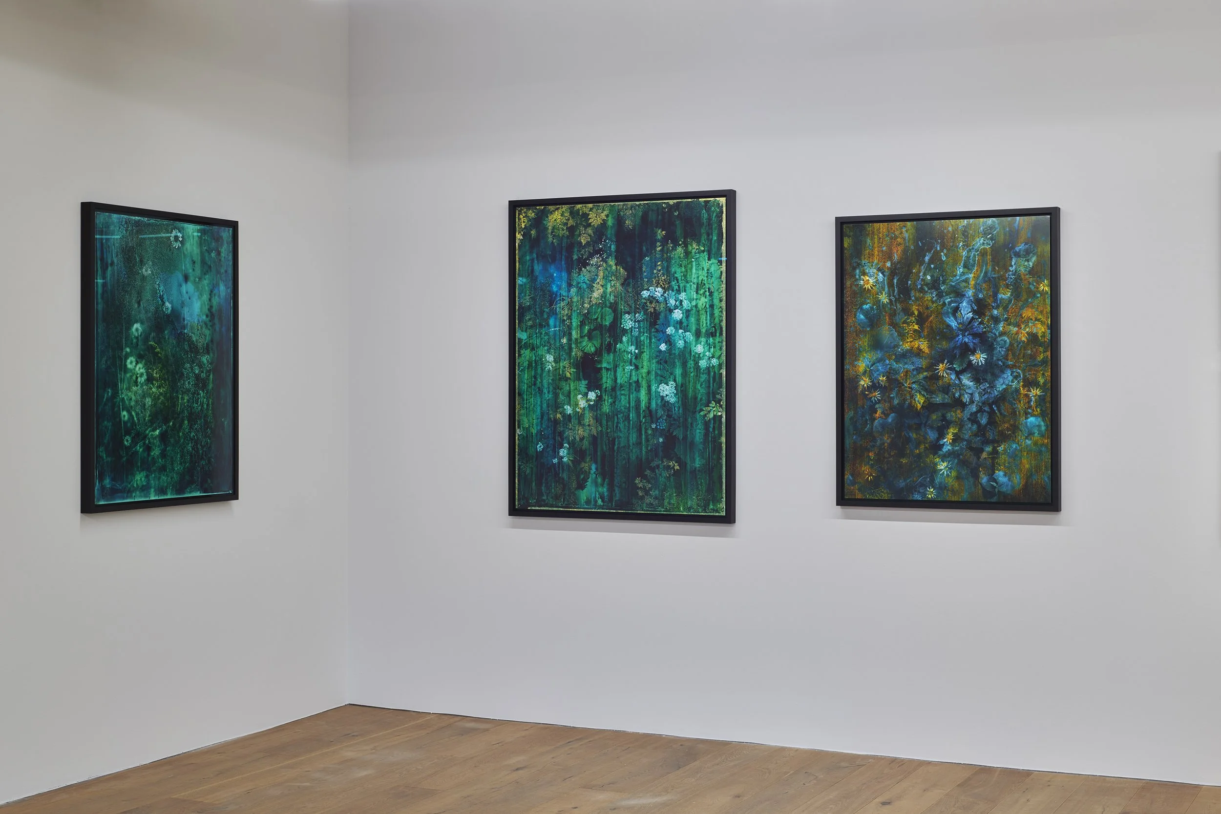 Galerie94_1232026 15.jpg